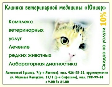       ,  ,  www.mynewDOG.ru