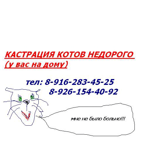      ( ).  www.mynewDOG.ru